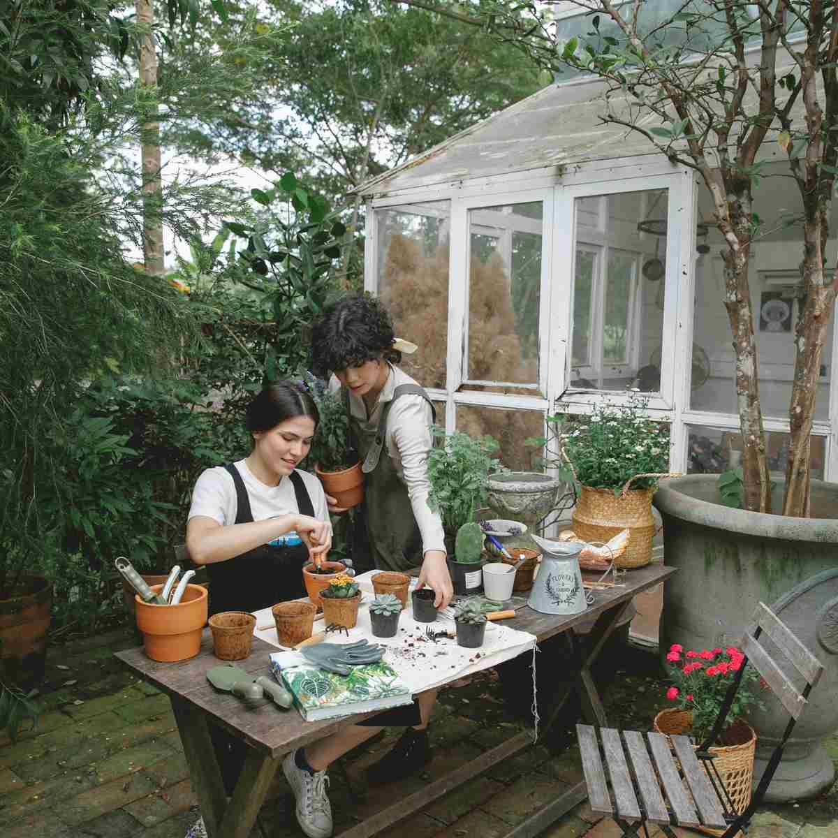 Aosom Discount Codes That Actually Work